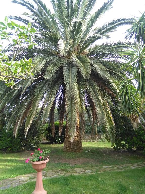 La Palma Villa Magliano in Toscana Exterior photo